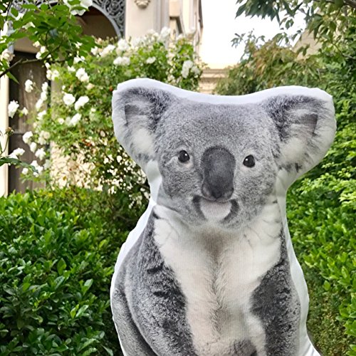 Cushion Co Koala Baby Bear Shaped Pillow Pet 16 X 12 Buy