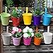 Topeakmart Flower Pots - Hanging Planters Flower Holders Vase Wall Fence Garden Patio Balcony Pots Metal Iron Home Décor, 10 PCS, Multicolor