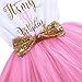 Newborn Baby Girl Princess It's My 1st/2nd Birthday Party Cake Smash Shinny Sequin Bow Tie Tulle Tutu Dress Outfit Pink (1 Year)