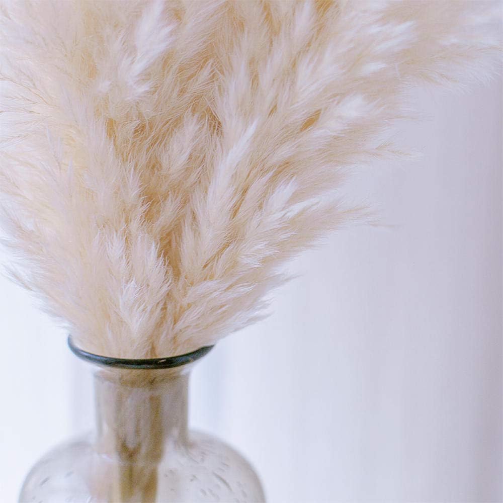 fiore secco per candela