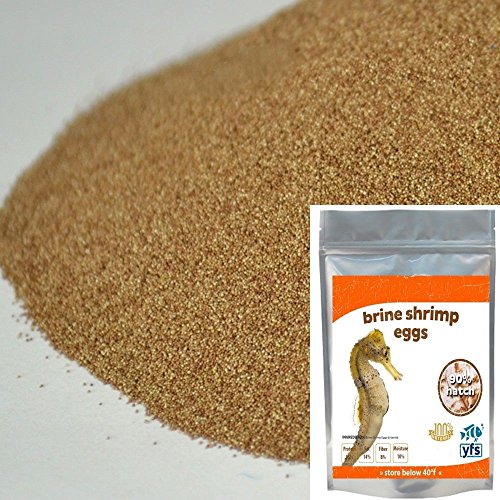 Brine Shrimp Eggs (Artemia Cysts) 100grams of 90% Hatch Rate Fish Food