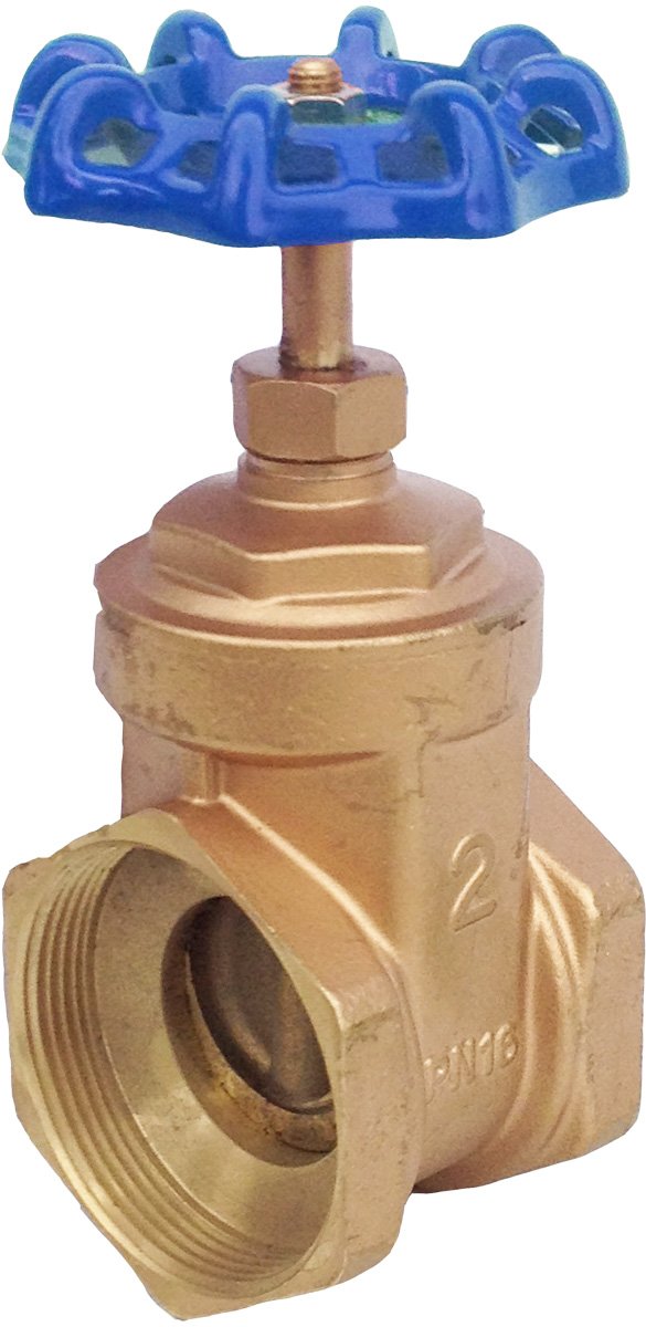 Dixon D75 Iron Drum Gate Valve 2 NPT Male tillescenter Valves