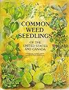 Common Weed Seedlings of the United States and Canada