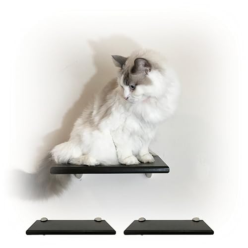floating cat steps