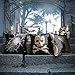 Ashler Halloween Set of 2 Magic Reversible Sequin Mermaid Throw Pillow Covers Spider and Cat for Haunted House Decoration 18 x 18 Inches 45 cm x 45 cm