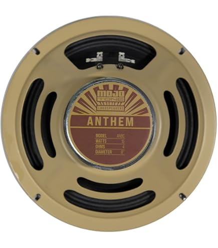 G8a 20w Guitar Speaker Ohm Amp Warehouse Speakers G8C 20W