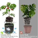 Ayvicco 5-Pack 1 Gallon Heavy Duty Nonwoven Aeration Fabric Pots view 6