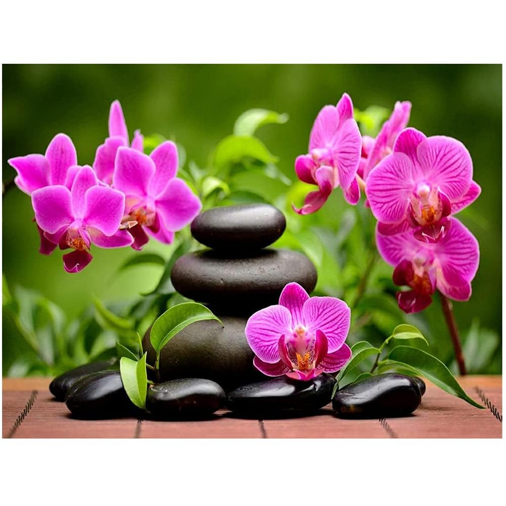 DIY Diamond Painting Orchid Square Stones Phalaenopsis 19x15 inches 5D Embroidery Large Pictures Painting by Numbers for Adults Beginners Diamond Art Full Kits Puzzle Children Wall Decor 50x40cm