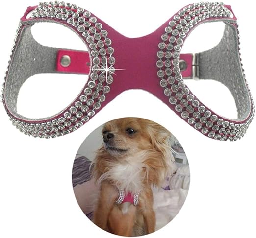 PENVEAT - Arnés de Piel sintética para Perro o Mascota, Accesorios para el Cuidado de Mascotas: Amazon.es: Productos para mascotas