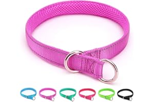 Mycicy Reflective Slip Dog Collar, Loop Dog Collar for 44-75 lbs Dogs Nylon Collars with Soft Padded for Pet Training in Purple 22", Wide 1"