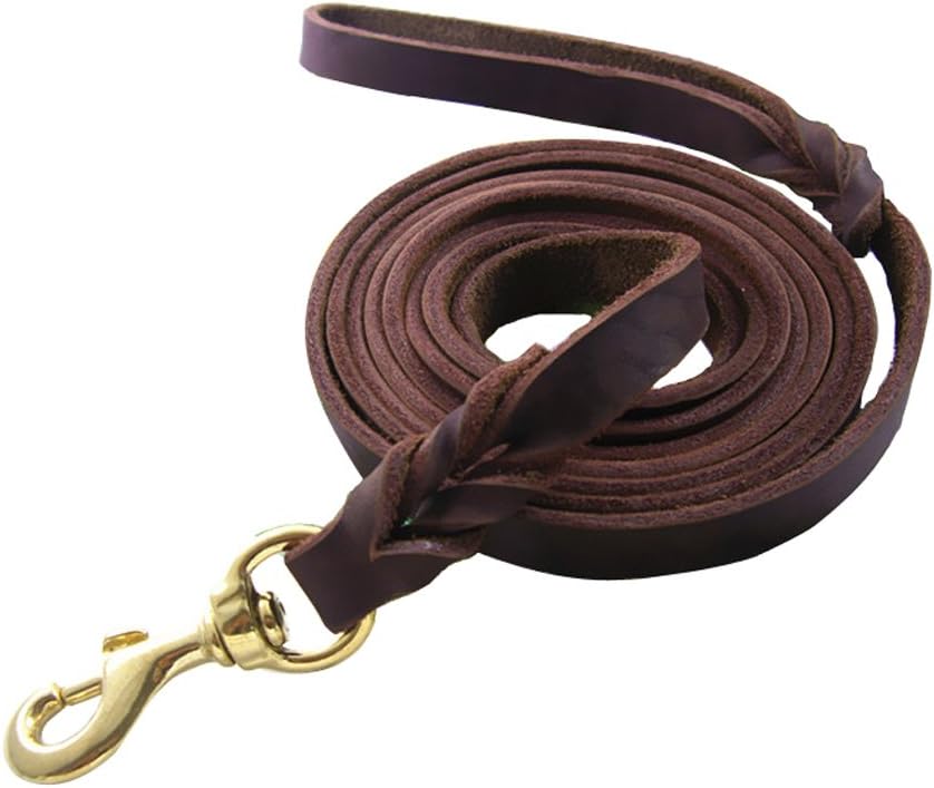 Vivi Bear Braided Genuine Leather Dog Leads for Large/Medium Dogs