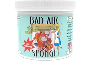 Bad Air Sponge 2lb. Container