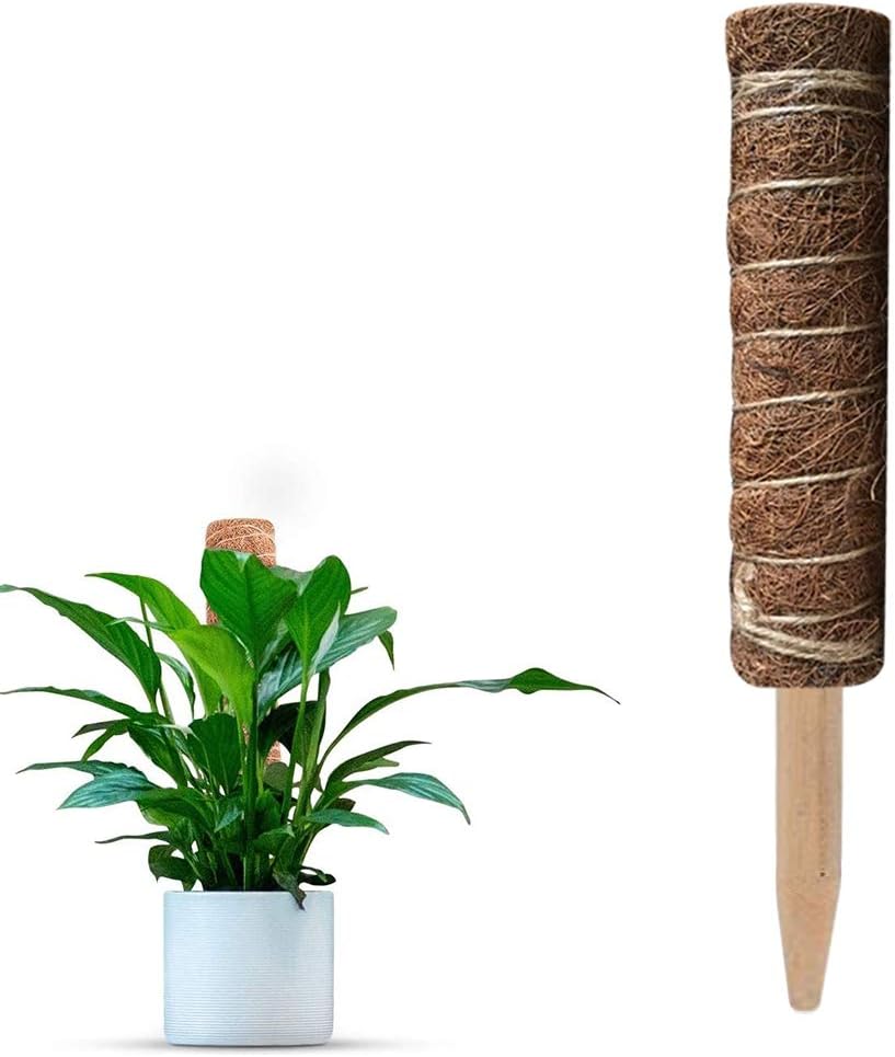 Homemust Plant Support Totem Pole Coir Poles Support Indoor Plants