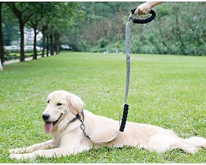 Guinzaglio Da Addestramento Per Cani Guinzaglio Multifunzionale Per Cani Di Taglia Media Per Cani Di Grossa Taglia Corda Tonda Retriever Catena Per Cani Formazione Esterna Per Cani Camminare Fornitu Amazon It Prodotti Per
