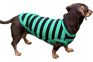 D DOGGY STAR Dachshund Clothes for Dogs Mini and Adults T Shirts (M,Stripe Green/Black)