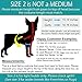 Pandaloon Dog Halloween Costume - As Seen on Shark Tank - Patented - Funny Costume with Arms for Small and Medium Dogs and Cats (Panda, Size 2(15-16 in Height at TOP of Head,Girth<16 in))