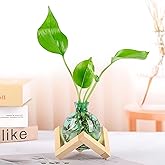 Plant Propagation Station Propagation Vases for Plants Glass Terrariums Vases Bulb with Wooden Stand for Hydroponic Water Plants Indoor, Office Decor Desk Accessories (Green)
