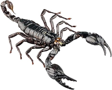 Hechizo eau de toilette 60 ml vaporizador: Amazon.es: Belleza