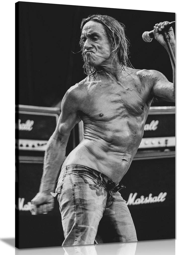 Iggy Pop Canvas Wall Art Picture Print For Home Decor (18x12)