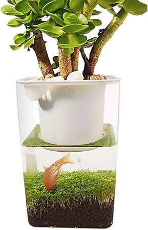 self cleaning fish tank that grows food