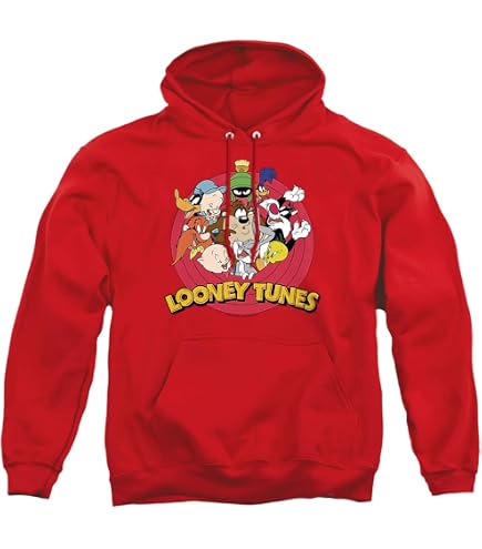 Amazon.com: Popfunk Looney Tunes Gang 1 Unisex Adult Pull-Over