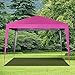 outdoor basic 10 x 10 ft Pop-Up Canopy Tent Gazebo for Beach Tailgating Party Pink