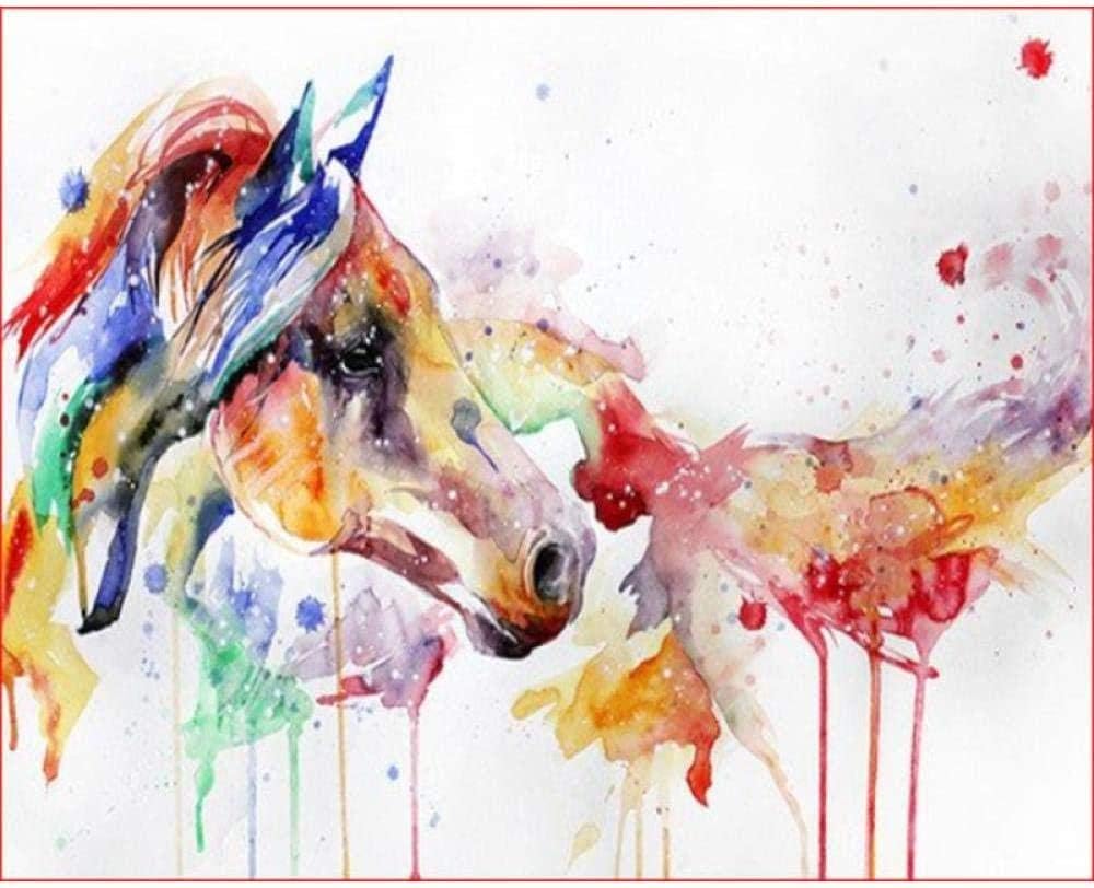 Diamond Drawing Diy 5d Diamond Painting Kit Full Drill Abstract Watercolor Horse Painting Full Drill Rhinestone Embroidery Paintings Pictures Arts Craft Living Room Bedroom Home Decoration 16x20inch Amazon Co Uk Kitchen Home