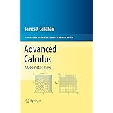 Advanced Calculus: A Geometric View (Undergraduate Texts in Mathematics)