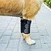 GNIKS Dog Front Leg Wrap Protects Brace Pets Joint Hock Paw Compression Wraps for Protects Wounds Brace Heals and Prevents Injuries and Sprains (L-XL)
