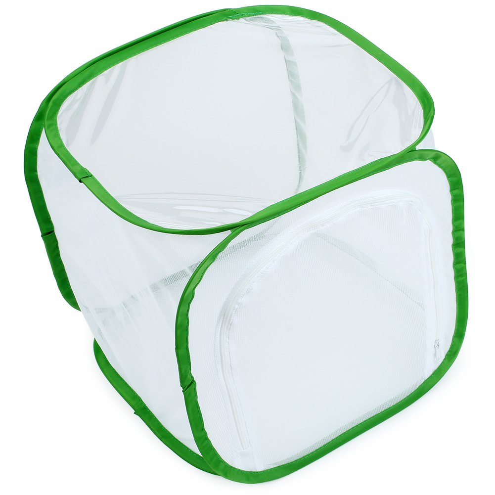 RESTCLOUD Insect and Butterfly Habitat Cage Terrarium Pop-up 12 X 12 X 12 Inches