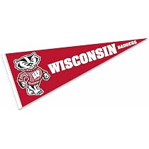 Desert Cactus University Of Wisconsin Badgers Flag - 3x5 Feet 100% Polyester, Indoor/Outdoor, Officially Licensed