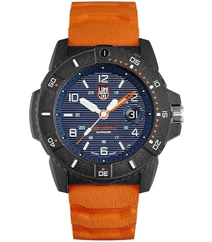 Amazon.com: Luminox Navy Seal Steel X3.CB51.CB.1 Men's Dive Watch