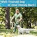 PetSpy M919 Dog Training Shock Collar, 1000 Yards, Medium to Large Dogs, with Vibration, Electric Shock and Beep, Waterproof, Remote Trainer (One Dog)