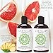 Laritelle Organic Travel Size Shampoo 2 oz + Travel Size Conditioner 2 oz | Organic Quinoa + Keratin + Follicle Stimulating Rosemary, Ginger & Grapefruit | NO GMO. Vegan