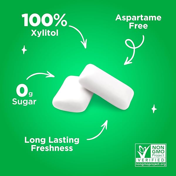 PUR GUM | ASPARTAME FREE CHEWING GUM | 100% XYLITOL | NATURAL SPEARMINT FLAVORED GUM, 55 PIECES (PACK OF 6)