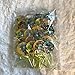 Plants vs Zombies Lollipops Video Game Party Favors Supplies Decorations Lollipops with Lime Green Ribbon Bows Party Favors -12 pcs