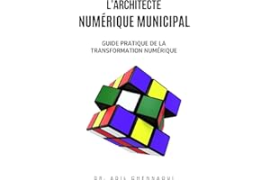 L’architecte numérique municipal: Guide pratique de la transformation numérique (French Edition)