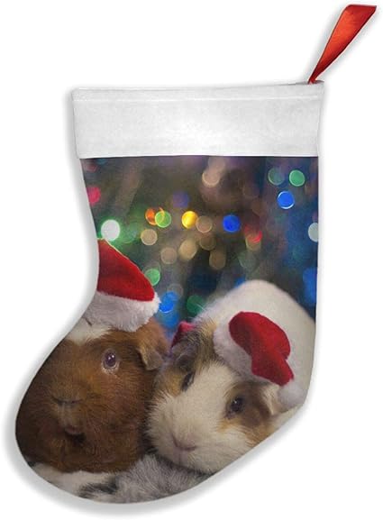 Par de gorros de guinea de vacaciones, calcetines de Navidad