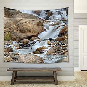 Alluvial Fan Area in Rocky Mountain National Park. - Fabric Wall Tapestry Home Decor - 51x60 inches
