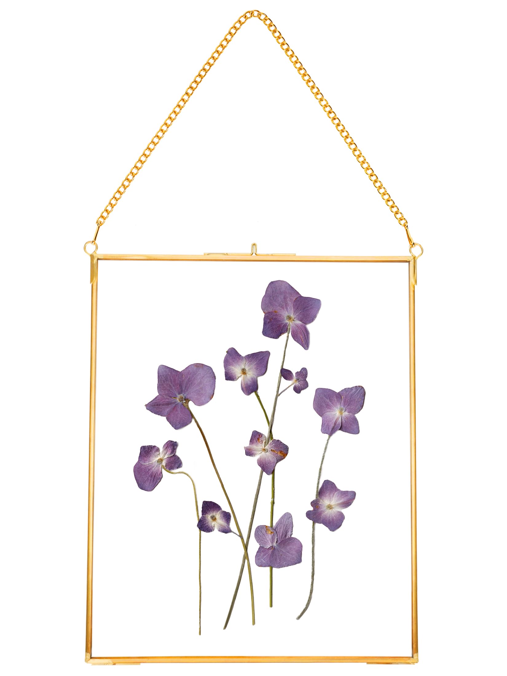 REDHUGO Hanging Pressed Flower Frames, Double Glass Floating Picture Frame Handmade, Glass Frame for Pressed Flowers, Vintage Brass Picture Frame for Artwork Wall Display Mount, Gold