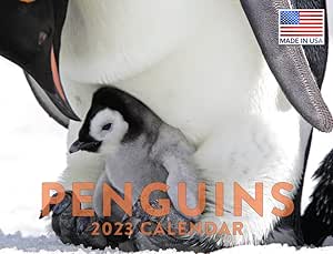 Amazon.com : Penguin Calendar 2023 Monthly Wall Hanging Calendars Cute Amazon.com : Penguin Calendar 2023 Monthly Wall Hanging Calendars Cute