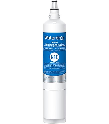 Amazon.com: EcoAqua 5231JA2006A Refrigerator Water Filter