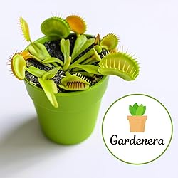 Gardenera Sphagnum Moss Potting Mix for Carnivorous