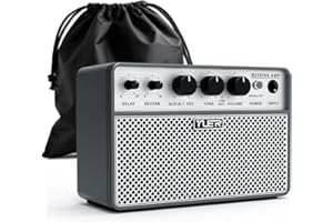 Yuer BA-10Pro 10W Acoustic Guitar Amp, Portable Vocal & Guitar Amplifier with Digital Delay/Reverb Effect Headphone Jack/OTG Wireless Small Guitars Amp for Recording, Practice, Travel with Carry Bag