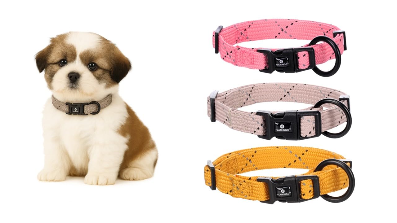 Flamingo Dog Collar Puppy Dolly Taupe XS 20-35cm 10mm