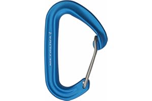 Mini II D-Shape Carabiner by Metolius