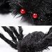 TissueDeep 59 Inch 150cm Giant Huge Black Spider Decorations, Halloween Outdoor Large Size Realistic Fake Hairy Spider Props Decor for Halloween Party, Patio Big Spiderweb Decorations