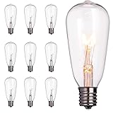 10 Pack Replacement Bulbs for Outdoor String