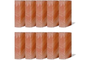 SALT N SOUL Himalayan Salt Brick 8x4x2 Pack of 2 | Himalayan Salt Block for Sauna | Himalayan Salt Tile for Spa, Dry Age, and Home Decor | Salt Block.