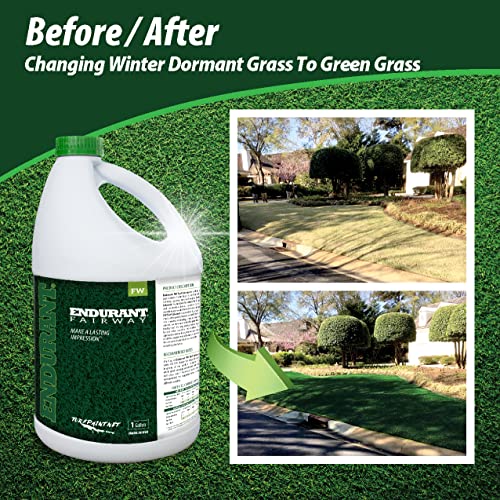 Endurant Green Grass Paint for Lawn and Fairway Treats Dry or Patchy